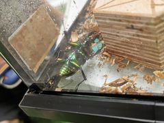 -中国杭州低碳科技馆