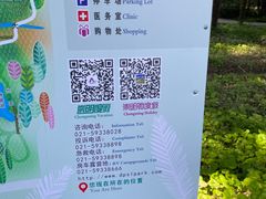 -东平国家森林公园
