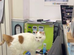 -纳吉亚猫专科动物医院·北北分院