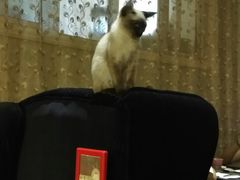 -吱咖啡西式简餐