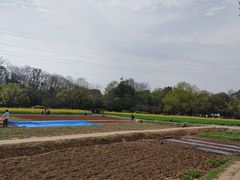 -八卦田遗址公园