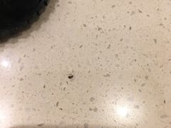 -敦煌喜宴(万达广场店)