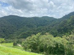 -龙岩森林水乡景区
