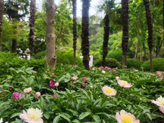 -狼山风景名胜区