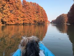 -上海海湾国家森林公园