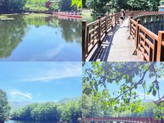 -洛阳白云山景区