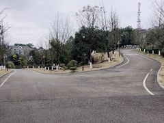 -铁山坪森林公园