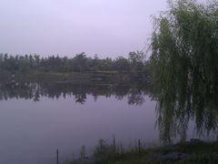 IMAG1397-上海怡沁园度假酒店