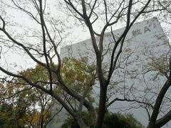 -南京理工大学紫金学院