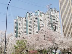 -西北湖绿化广场