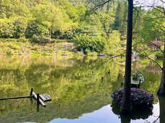 -深圳仙湖植物园