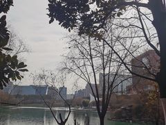 -天鹅湖体育公园