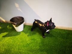 -TOB FIT健身·拉伸工作室