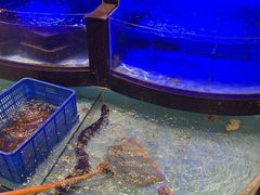 -御同亨酒楼·喜宴