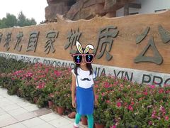 -嘉荫恐龙国家地质公园
