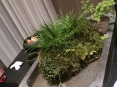 -忆江南·临江鱼馆