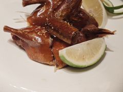 -觅唐MITONG(鸟巢店)