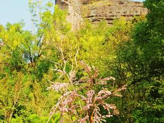 -江西龙虎山景区