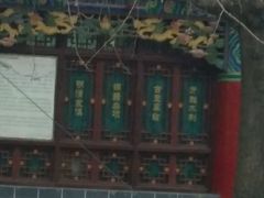 -云南古玩城(护国路店)