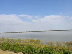 -江滩湿地公园