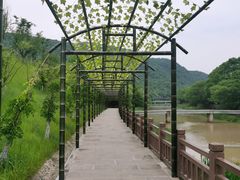 -兰亭风景区