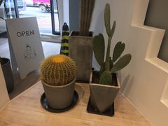 -Such A Cafe(798艺术园区店)