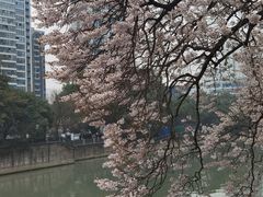 -红星桥(地铁站)