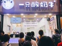 -一只酸奶牛(八一路店)
