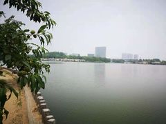 -大兴滨河森林公园