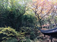 -穹窿山景区