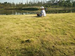 -白鹭湾湿地公园