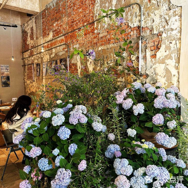 武汉Citywalk挖到宝！治愈系西餐厅直接封神！