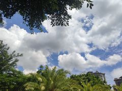 -西双版纳洲际度假酒店兰吧