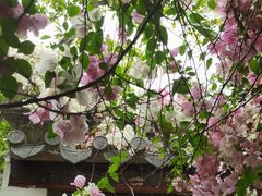 -深圳国际园林花卉博览园