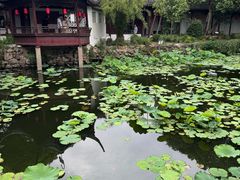 -上海醉白池公园