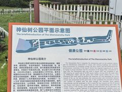 -神仙树公园