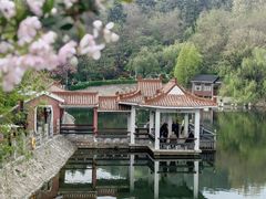 -北岭山森林公园