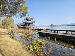 -湘湖大院(越王路店)