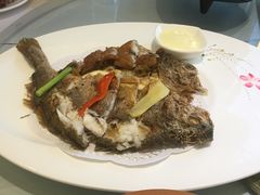 -骏莱海鲜鱼港(五角场店)