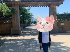 -尚庄度假村·庭台树下·户外烧烤·团建CS·轰趴营地(上庄水库店)