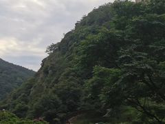-鼓岭旅游度假区