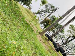 -江南天池高山汤泉城