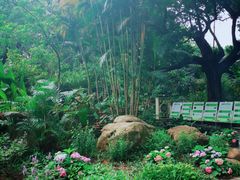 -华南国家植物园-售票处