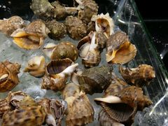 -泰谷酒店·太古码头闽菜自助餐厅