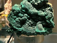 -中国地质博物馆