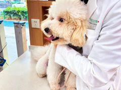 -联合动物医院(光谷诊疗中心)