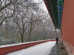 -灵谷景区