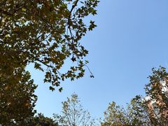 -上海交通大学(闵行校区)