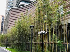 -上海市徐汇区口腔医院