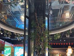 -龙泉人椰子鸡·糟粕醋·地标海南菜(龙昆南店)